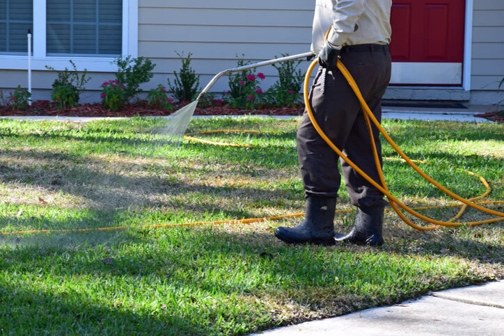 Spraying around the perimeter.